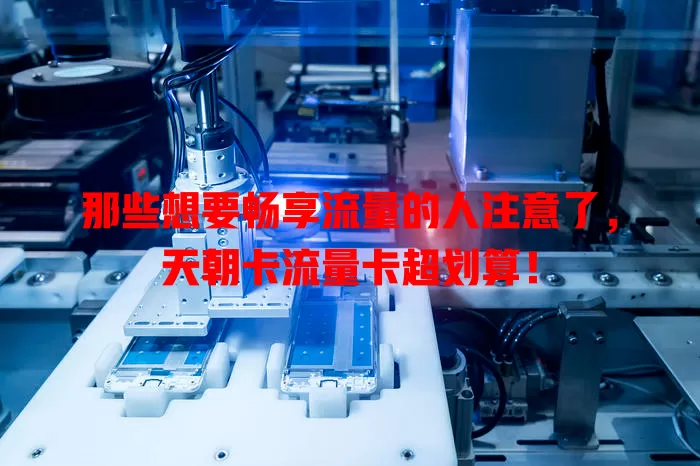 那些想要畅享流量的人注意了，天朝卡流量卡超划算！