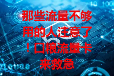 那些流量不够用的人注意了！口粮流量卡来救急