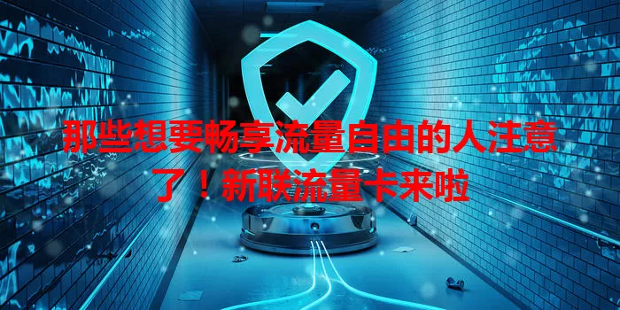 那些想要畅享流量自由的人注意了！新联流量卡来啦