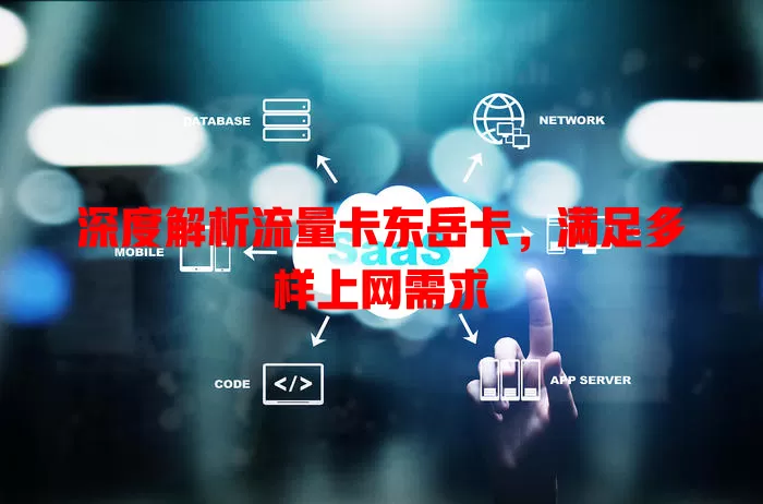 深度解析流量卡东岳卡，满足多样上网需求