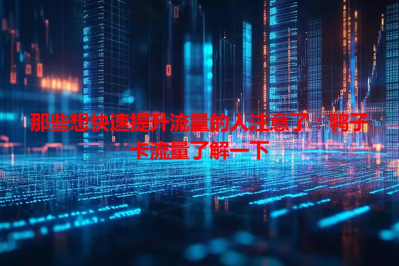 那些想快速提升流量的人注意了：鸭子卡流量了解一下