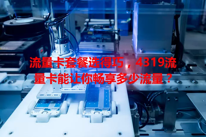 流量卡套餐选得巧，4319流量卡能让你畅享多少流量？