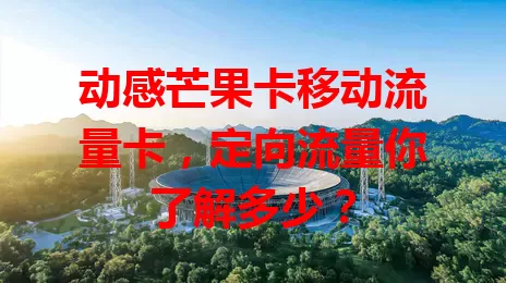 动感芒果卡移动流量卡，定向流量你了解多少？