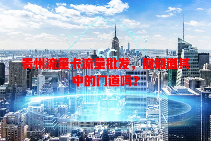 贵州流量卡流量批发，你知道其中的门道吗？