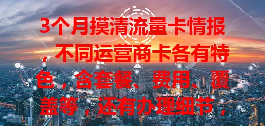 3个月摸清流量卡情报，不同运营商卡各有特色，含套餐、费用、覆盖等，还有办理细节，助你明智选卡