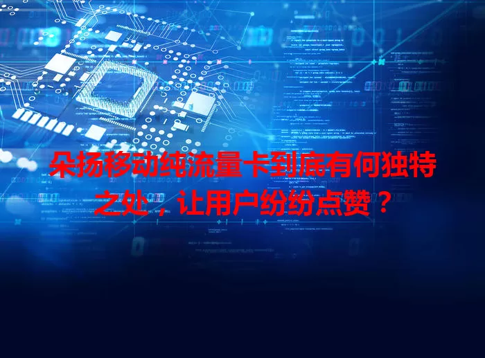 朵扬移动纯流量卡到底有何独特之处，让用户纷纷点赞？