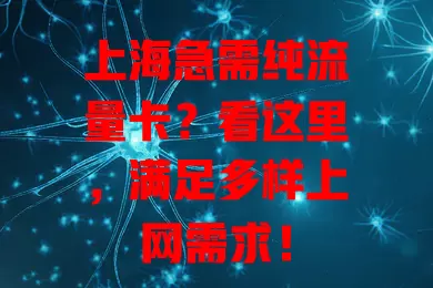 上海急需纯流量卡？看这里，满足多样上网需求！