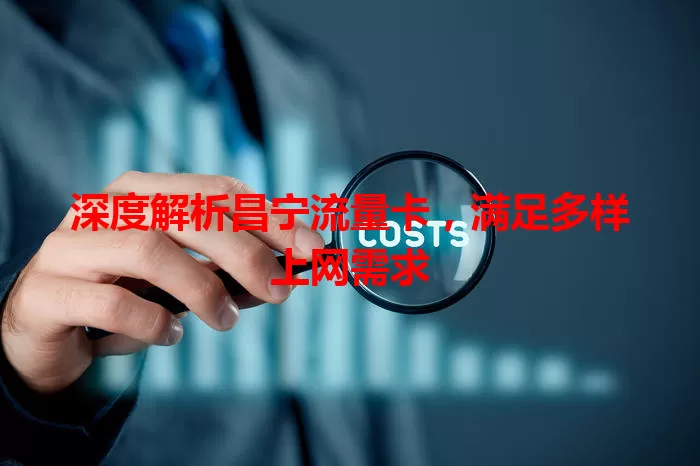 深度解析昌宁流量卡，满足多样上网需求