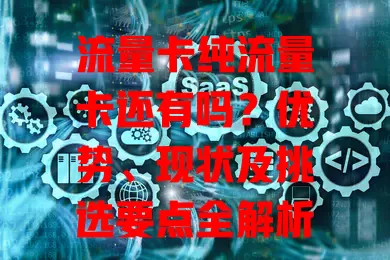 流量卡纯流量卡还有吗？优势、现状及挑选要点全解析
