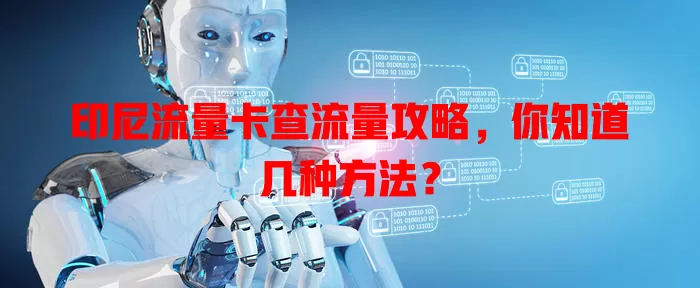 印尼流量卡查流量攻略，你知道几种方法？