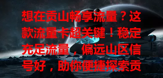 想在贡山畅享流量？这款流量卡超关键！稳定充足流量，偏远山区信号好，助你便捷探索贡山，完美规划行程，工作生活两不误，快关注选卡开启精彩网络之旅！