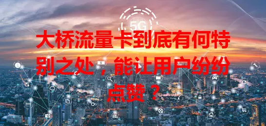 大桥流量卡到底有何特别之处，能让用户纷纷点赞？