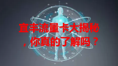 宜丰流量卡大揭秘，你真的了解吗？