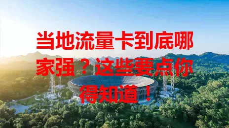 当地流量卡到底哪家强？这些要点你得知道！