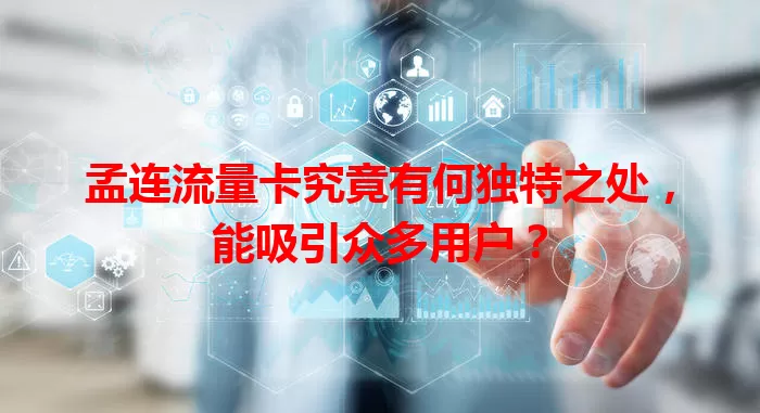 孟连流量卡究竟有何独特之处，能吸引众多用户？