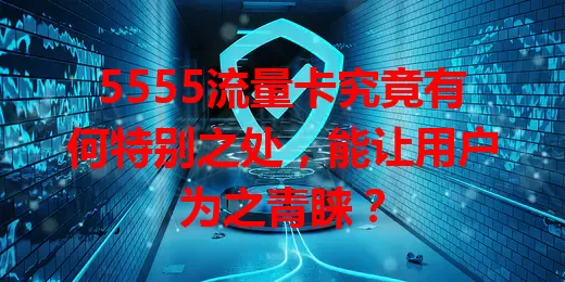 5555流量卡究竟有何特别之处，能让用户为之青睐？