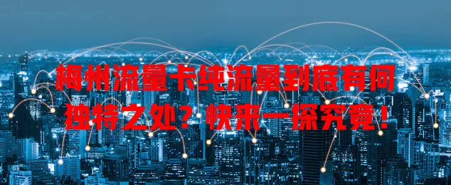 梅州流量卡纯流量到底有何独特之处？快来一探究竟！