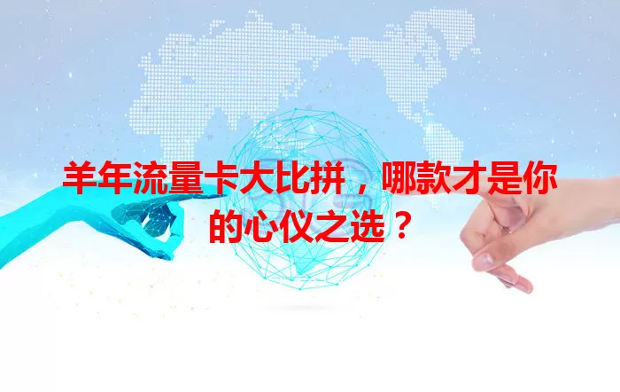 羊年流量卡大比拼，哪款才是你的心仪之选？