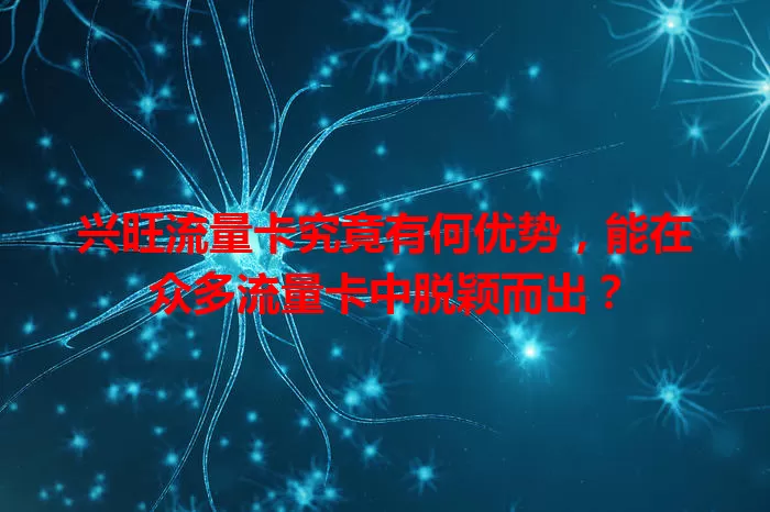 兴旺流量卡究竟有何优势，能在众多流量卡中脱颖而出？