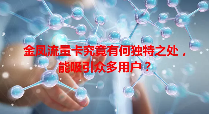 金凤流量卡究竟有何独特之处，能吸引众多用户？