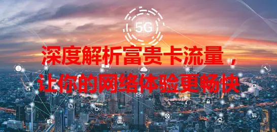 深度解析富贵卡流量，让你的网络体验更畅快