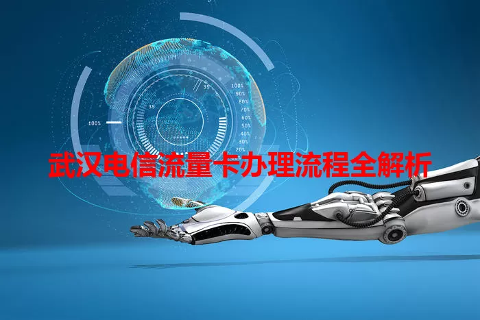 武汉电信流量卡办理流程全解析