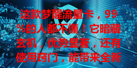 这款梦醒流量卡，99%的人都不懂！它暗藏玄机，优势显著，还有使用窍门，能带来全新网络体验和便利