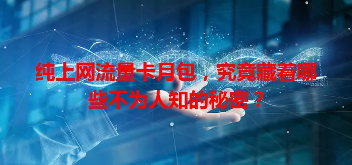纯上网流量卡月包，究竟藏着哪些不为人知的秘密？