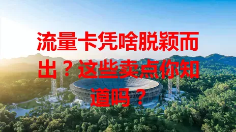 流量卡凭啥脱颖而出？这些卖点你知道吗？