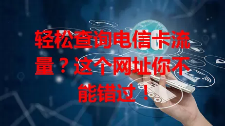 轻松查询电信卡流量？这个网址你不能错过！