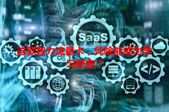 这款智力流量卡，凭啥能成为学习新宠？