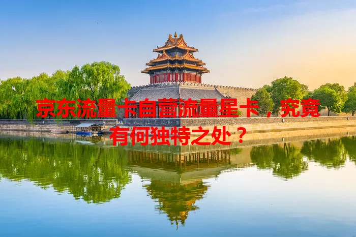 京东流量卡自营流量星卡，究竟有何独特之处？