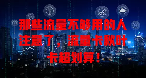 那些流量不够用的人注意了，流量卡秋叶卡超划算！