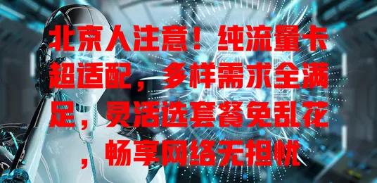 北京人注意！纯流量卡超适配，多样需求全满足，灵活选套餐免乱花，畅享网络无担忧