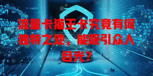 流量卡猫王卡究竟有何独特之处，能吸引众人目光？