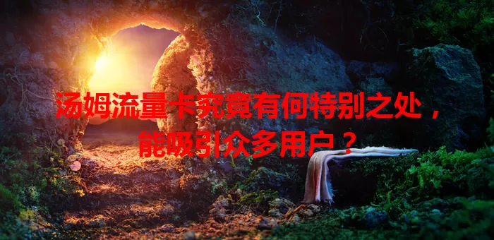 汤姆流量卡究竟有何特别之处，能吸引众多用户？