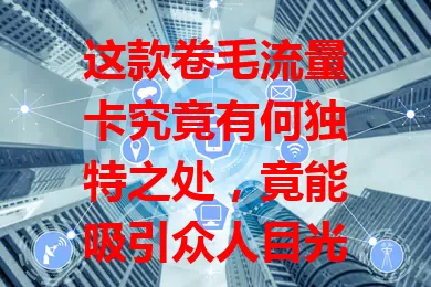 这款卷毛流量卡究竟有何独特之处，竟能吸引众人目光？