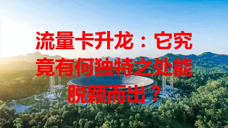 流量卡升龙：它究竟有何独特之处能脱颖而出？