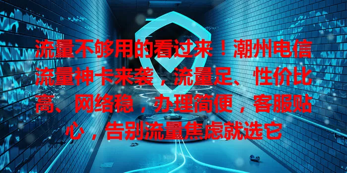 流量不够用的看过来！潮州电信流量神卡来袭，流量足、性价比高、网络稳，办理简便，客服贴心，告别流量焦虑就选它