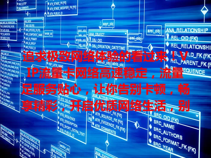 追求极致网络体验的看过来！VIP流量卡网络高速稳定，流量足服务贴心，让你告别卡顿，畅享精彩，开启优质网络生活，别犹豫，赶紧来选！