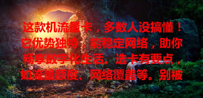 这款机流量卡，多数人没搞懂！它优势独特，能稳定网络，助你畅享数字化生活。选卡有要点，如流量额度、网络覆盖等。别被误解困扰，正确认识就能发挥优势，告别流量烦恼