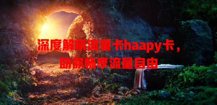深度解析流量卡haapy卡，助你畅享流量自由