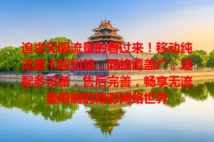 追求无限流量的看过来！移动纯流量卡超划算，网络覆盖广，适配多设备，售后完善，畅享无流量限制的精彩网络世界