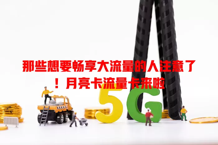 那些想要畅享大流量的人注意了！月亮卡流量卡来啦