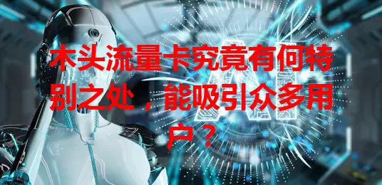 木头流量卡究竟有何特别之处，能吸引众多用户？