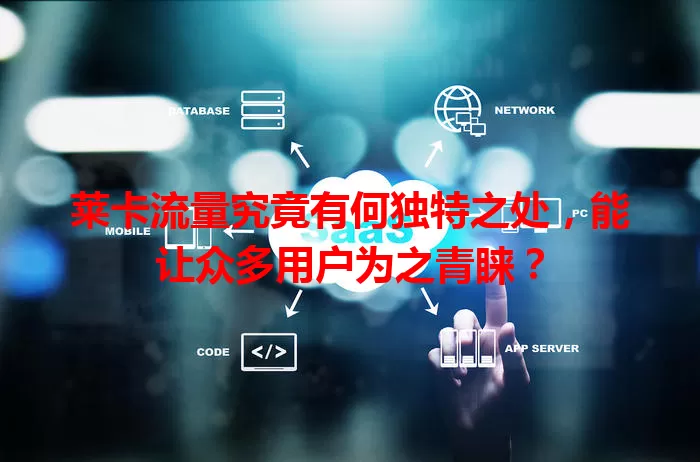 莱卡流量究竟有何独特之处，能让众多用户为之青睐？
