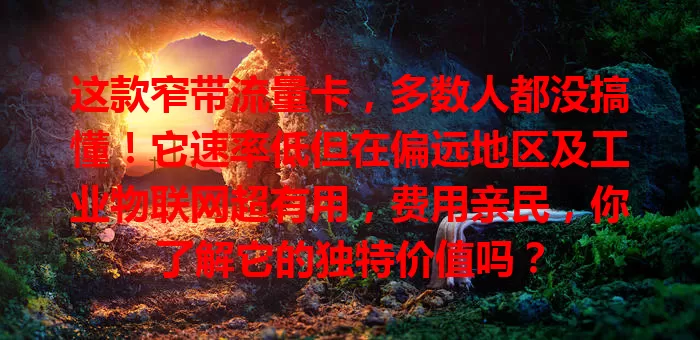 这款窄带流量卡，多数人都没搞懂！它速率低但在偏远地区及工业物联网超有用，费用亲民，你了解它的独特价值吗？