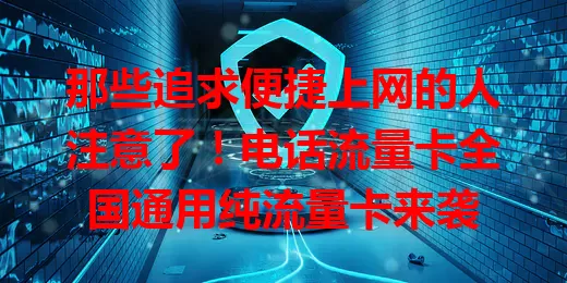 那些追求便捷上网的人注意了！电话流量卡全国通用纯流量卡来袭