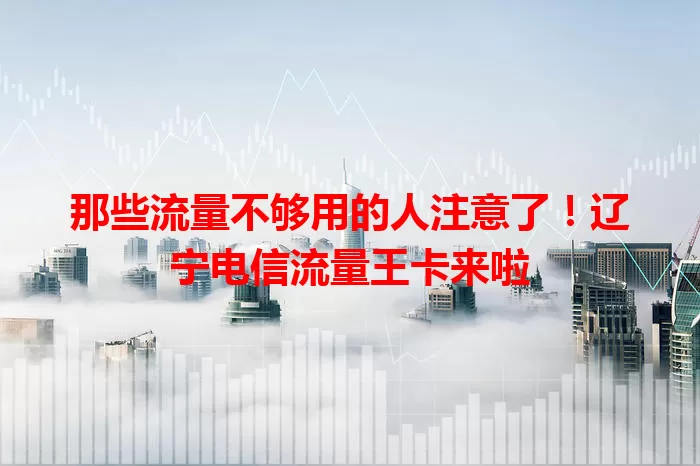 那些流量不够用的人注意了！辽宁电信流量王卡来啦
