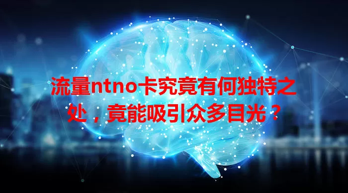 流量ntno卡究竟有何独特之处，竟能吸引众多目光？